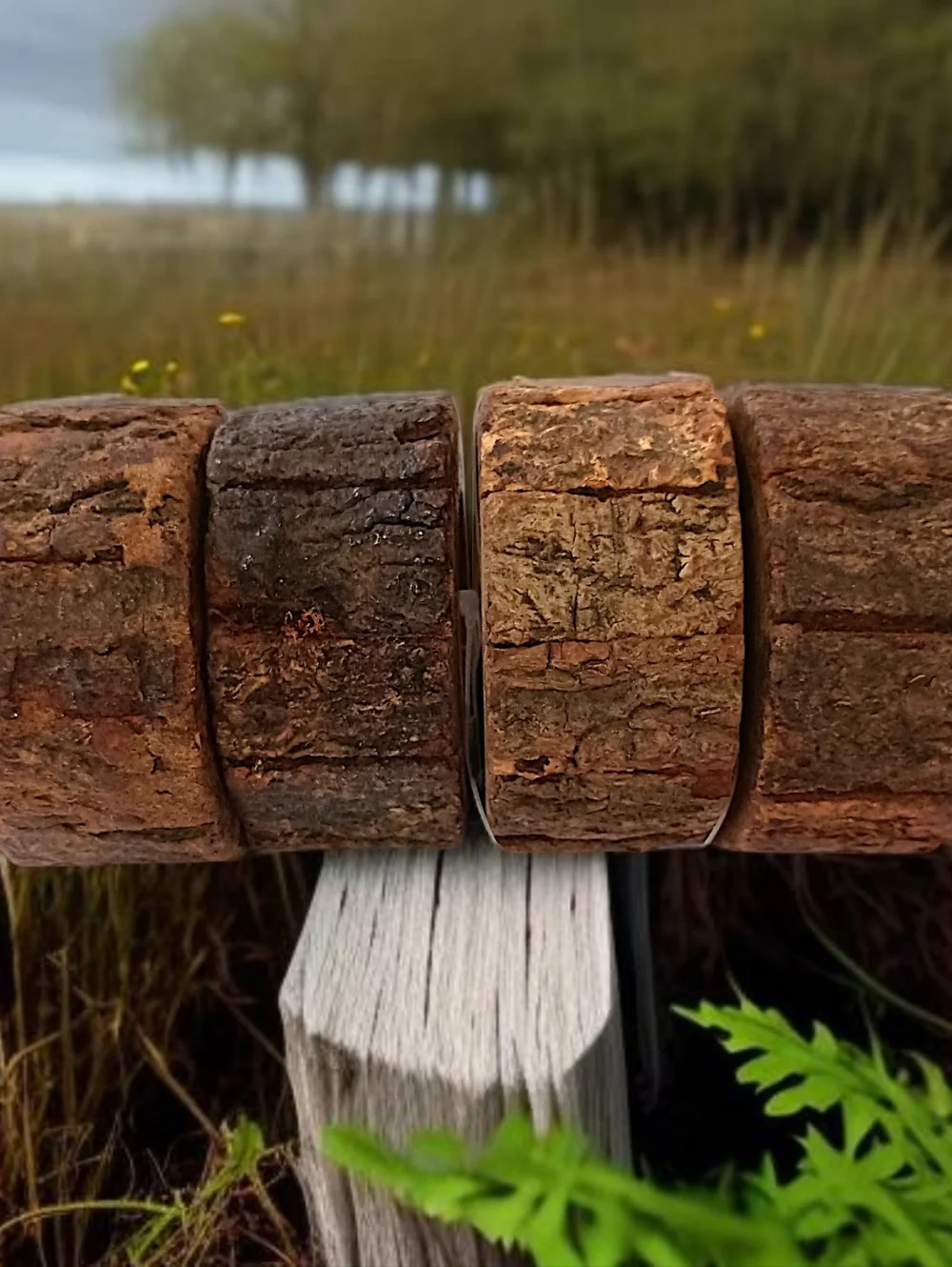 4 Natural‎ Wood Bark Live Edge Napkin Rings Rustic Farmhouse Party Events Cabin